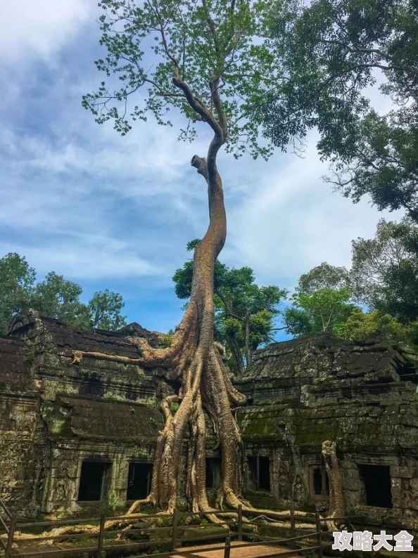 梦幻之城是一款深受玩家喜爱的角色扮演游戏，其中快速升级成为了许多玩家追求的目标。本文将为您带来《梦幻之城快速升级技巧攻略一览》，帮助您掌握方法，提升等级速度翻倍。近期，游戏官方发布了新版本更新，带来了许多新内容，下面我们将结合这些新消息，为您详细解析升级技巧。